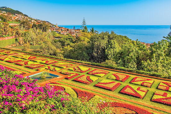 Madeira látnivalók - botanikus kert