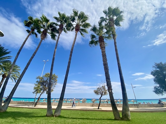 Mallorca strandok - Cala Millor