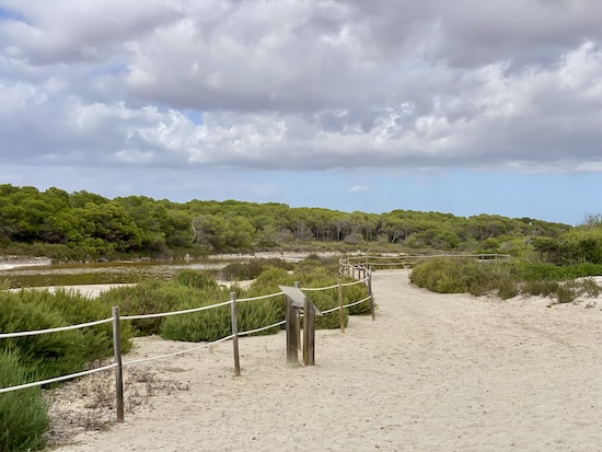 Mallorca strandjai - Es Trenc