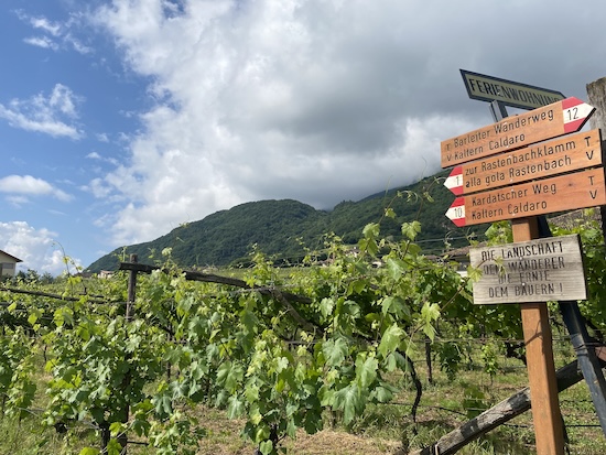Dél-Tirol - Kaltern - Rastenbach-szurdok